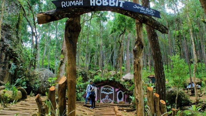Hutan pinus, di mangunan. Bisa menjadi menjadi opsi tempat liburan ke Jogja, sumber ; google.com