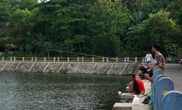 Tempat pemancingan di Jogja, Embung Tambakboyo. Sumber: tribunnews.com