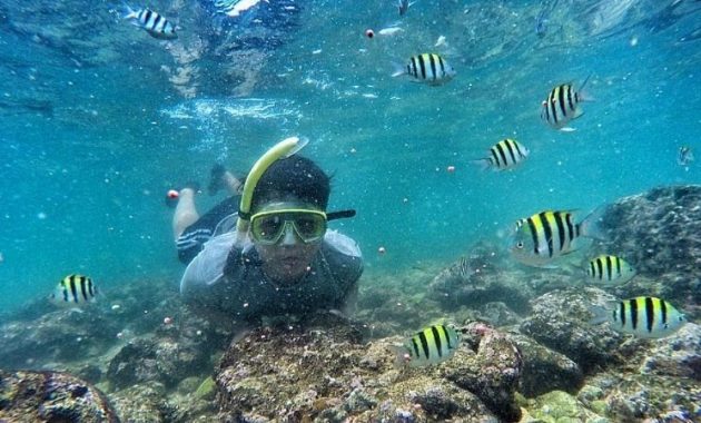 Wisata snorkel di Pantai Nglambor Gunung Kidul. Sumber: instagram.com/syauqifiqri
