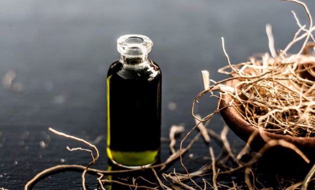 Tanaman akar wangi untuk minyak atsiri, sumber: kompas.com