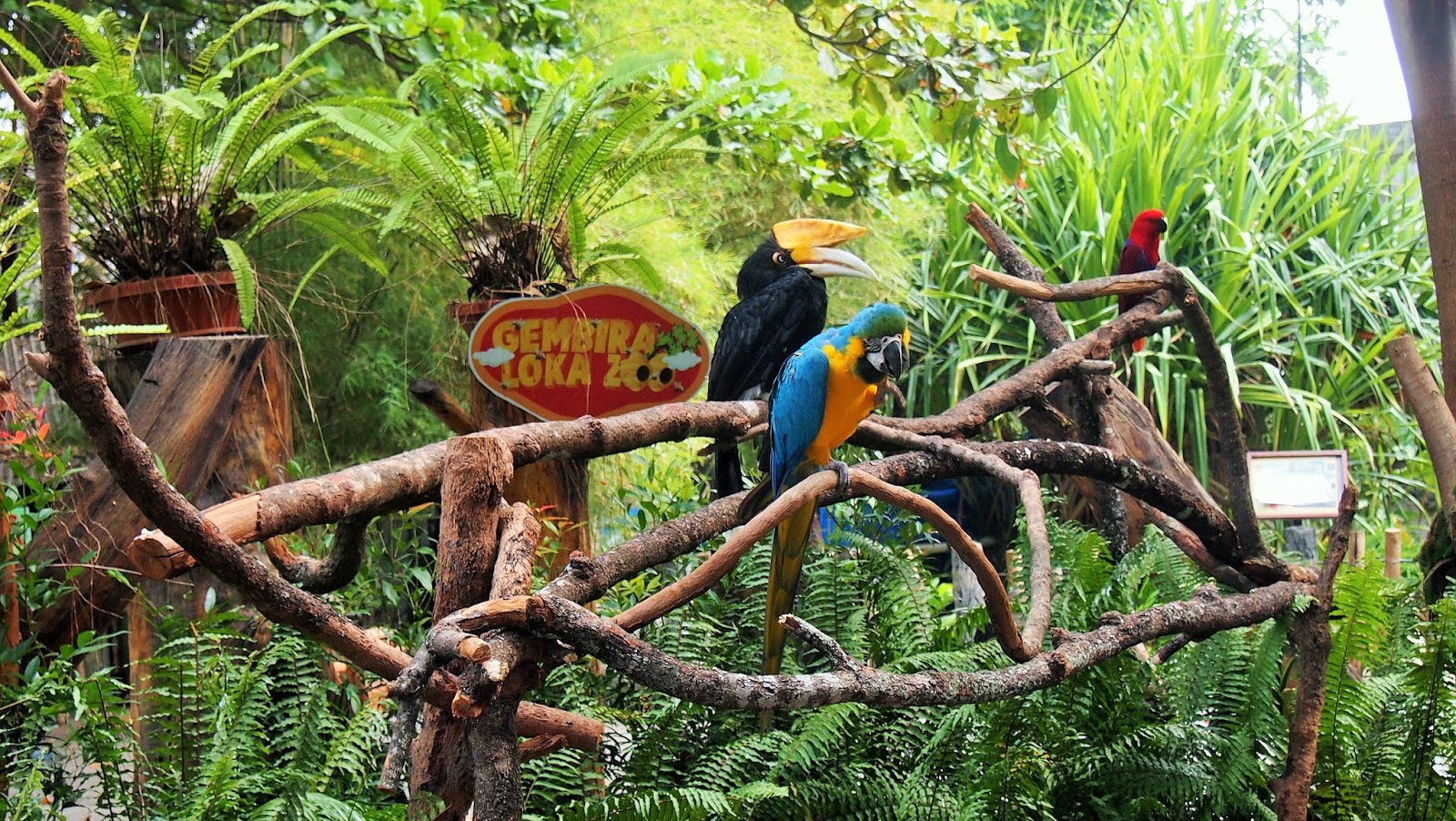 Satwa di Gembira Loka Zoo, Sumber: promoliburan.com