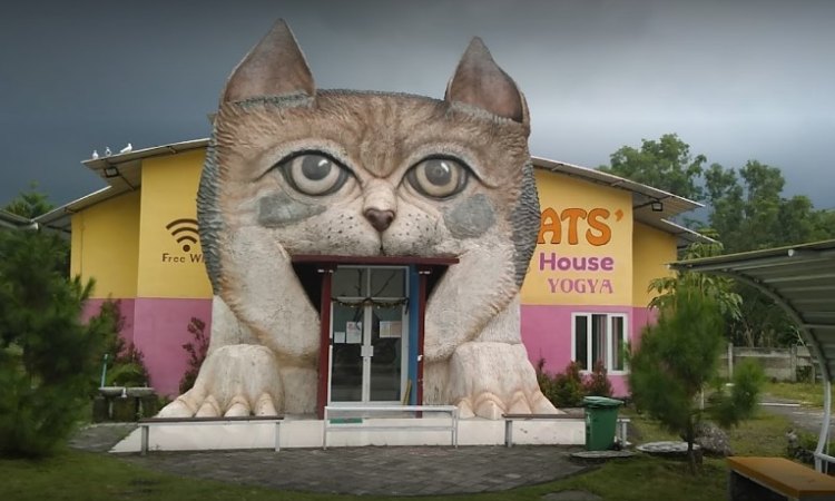 Area Cat House, Sumber: kembalikejogja.com