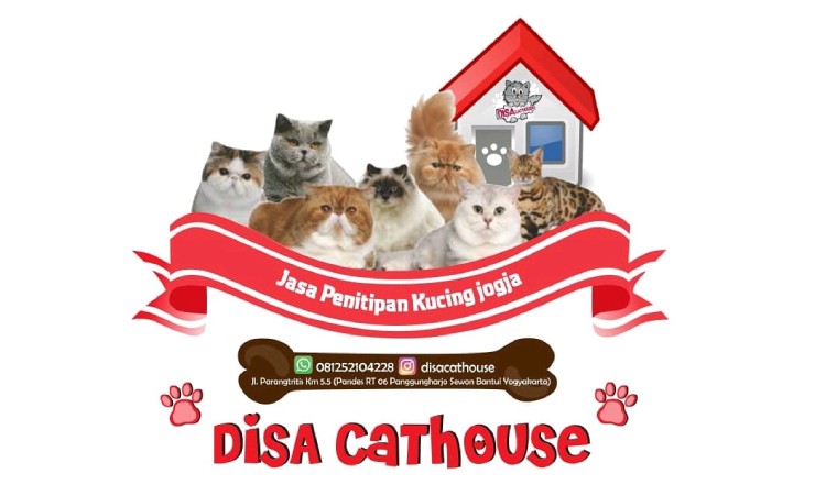 Disa Cathouse, Sumber: google pics