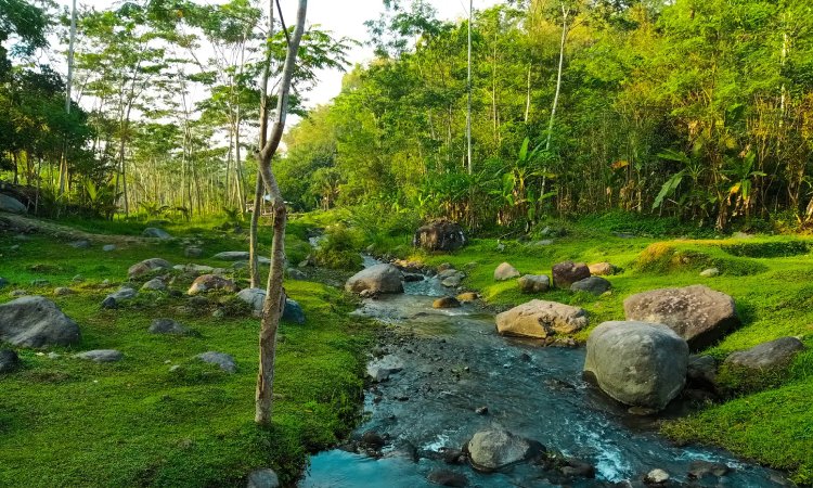 Desa Wisata Ledok Sambi, Sumber: imagekit.io