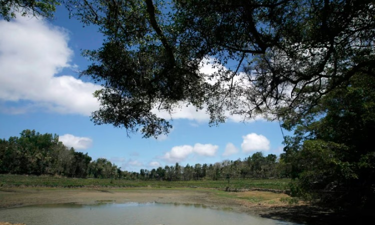 Kasus bunuh diri di daerah Gunung Kidul, Sumber: voanews.com