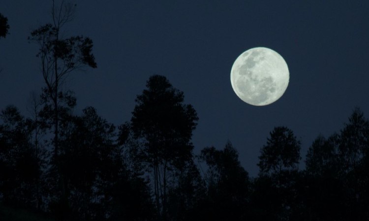 Malam bulan purnama, Sumber: kompas.com