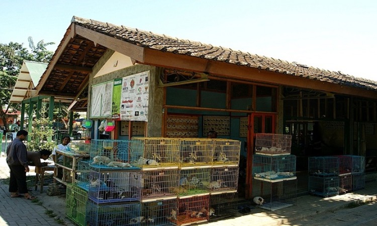 Pasar Hewan PASTY, Sumber: rentaljogja.co.id