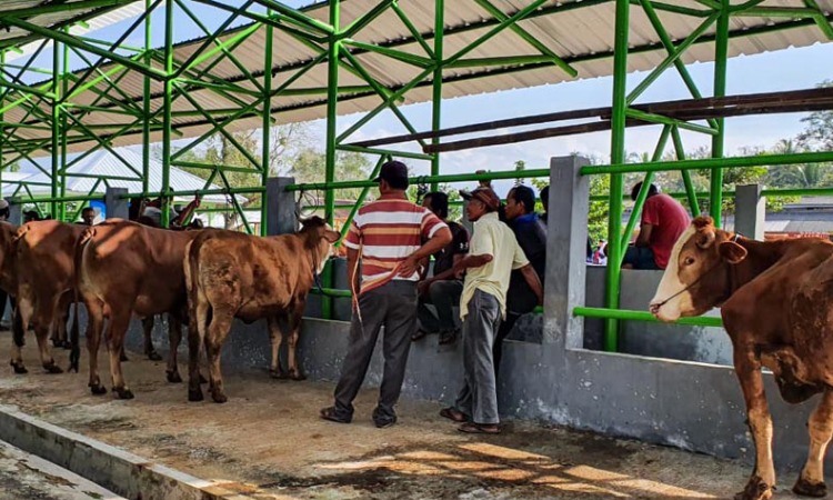 Pasar Hewan Siyono Harjo, Sumber: harianjogja.com