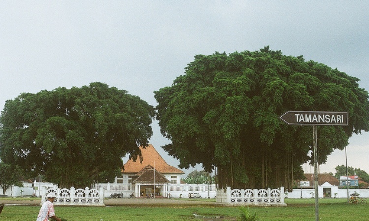 Pohon beringin kembar, Sumber: njogja.co.id