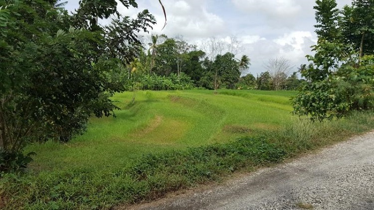 Harga tanah naik berpengaruh pada generasi Z, Sumber: arthaka-land.co.id