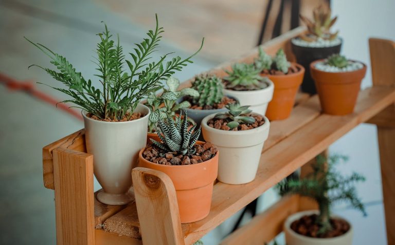 Dry ice bisa untuk menjaga kesegaran tanaman. Sumber: pexels.com
