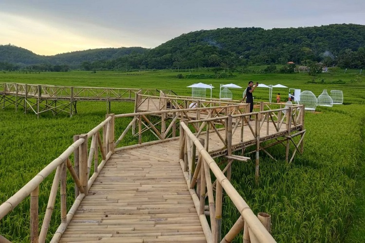 Menoreh Sky Bridge, Sumber: suwatu.com