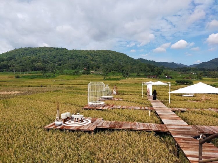 Salah satu destinasi wisata alam di Kulon Progo, Sumber: ulasan google