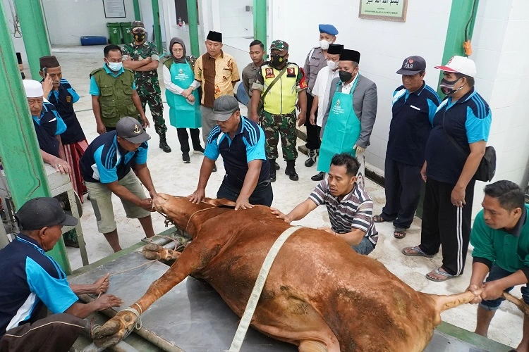 Rumah potong hewan kurban, Sumber: pasuruankab.go.id