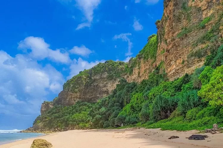 Termasuk salah satu pantai hidden gem, Sumber: wonosobozone.com