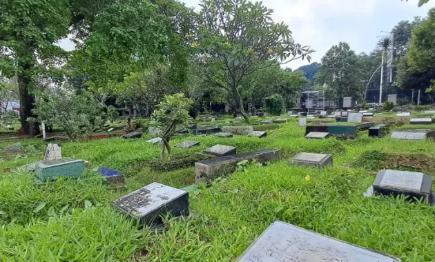 Rumput pemakaman, Sumber: instagram.com