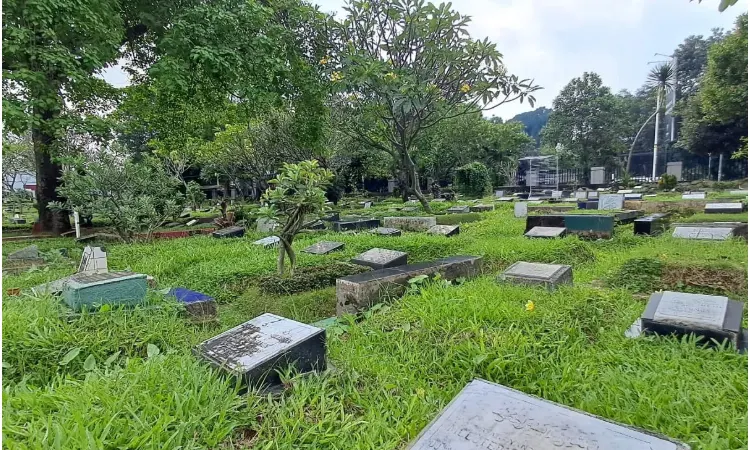 Rumput pemakaman, Sumber: instagram.com