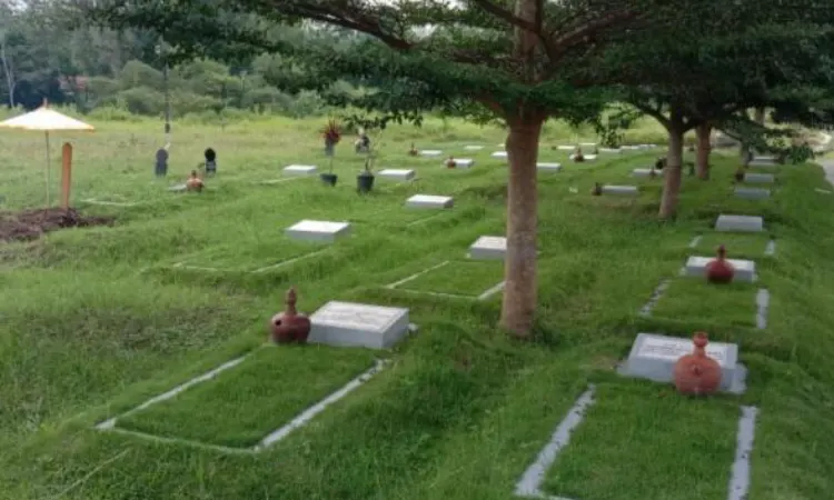 Rumput makam, Sumber: inews.co.id
