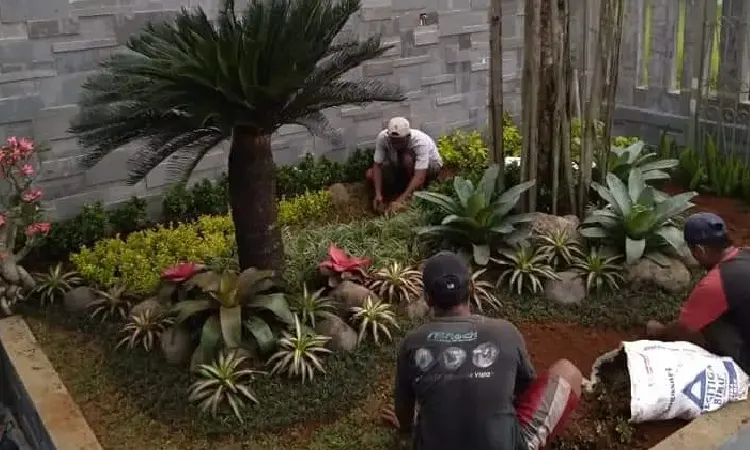 Tentang Jogja Gardening, Sumber: jogjagardening.com