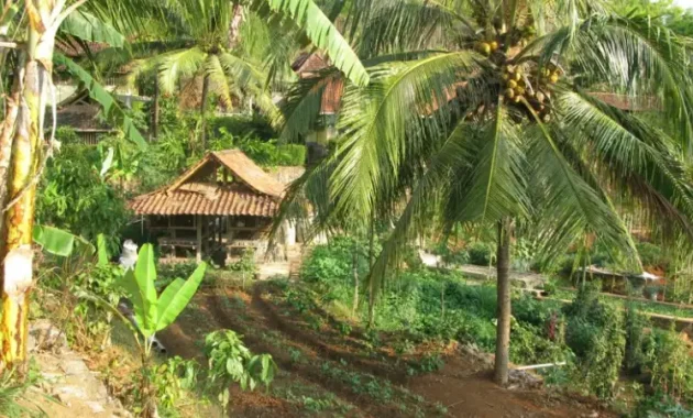 Bumi langit, Sumber: bumilangit.org