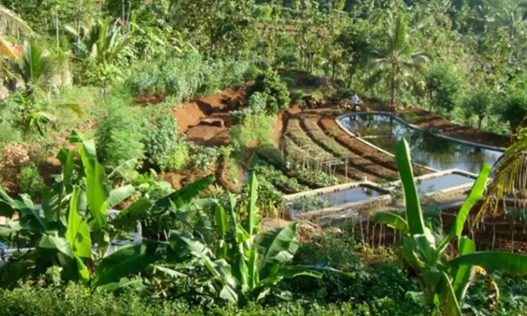 Bumi langit institute, Sumber: greennetwork.id