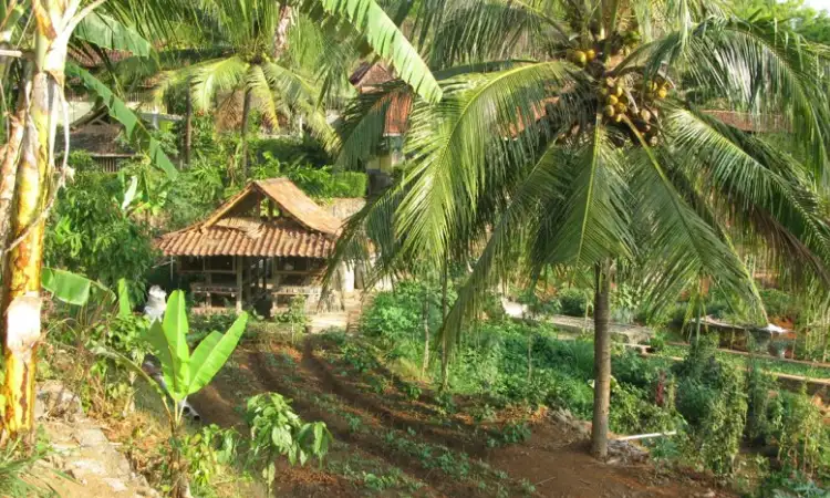 Bumi langit, Sumber: bumilangit.org