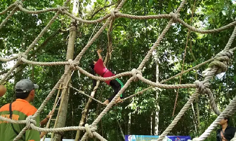 Aktivitas menarik bagi pengunjung, Sumber: google review