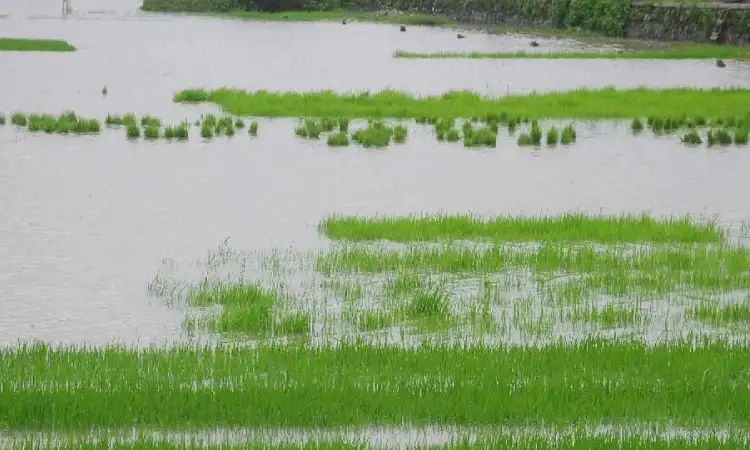 Ilmu titen di era modern, Sumber: detik.com