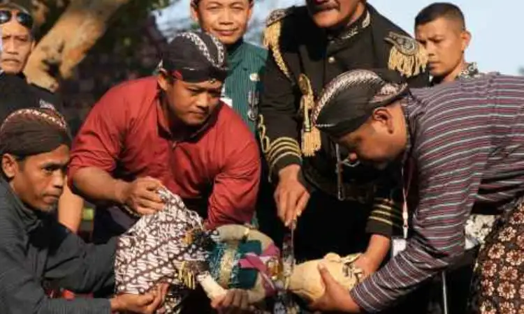 Filosofi mendalam Saparan Bekakak, Sumber: bacajogja.id