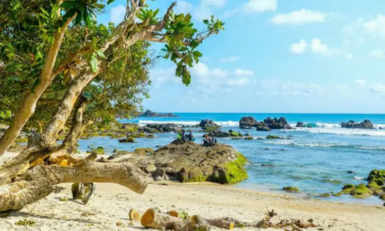 Pantai Wediombo, Sumber: voi.id