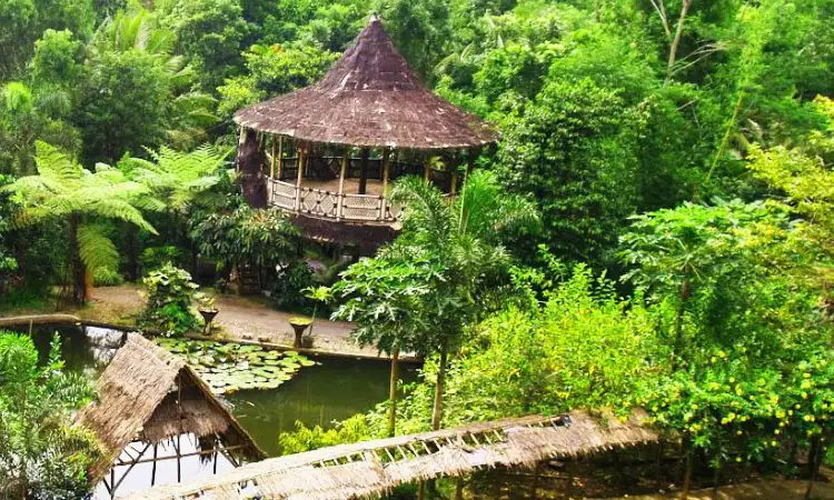 Desa wisata pentingsari, Sumber: promediateknologi.id