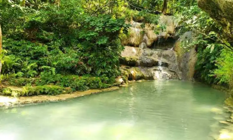 Ledok Pokoh, Sumber: tempatwisataseru.com