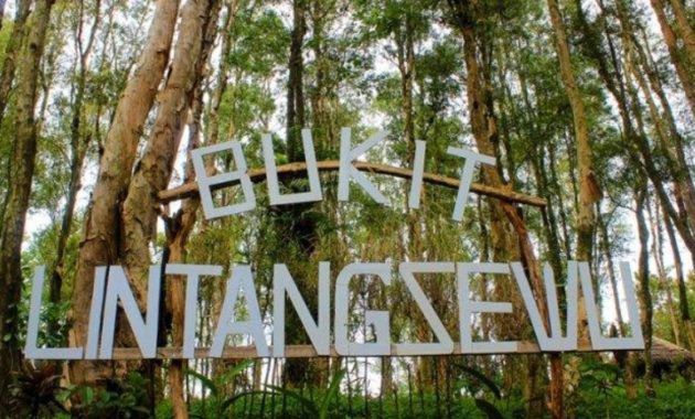 Bukit Lintang Sewu, Spot Foto Aesthetic