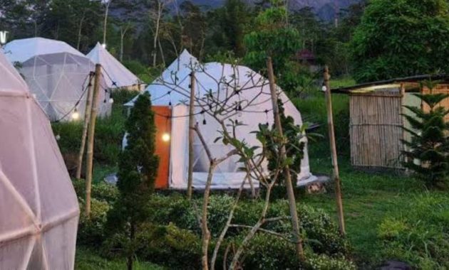 Pallatina Glamping, Menginap di Tengah Hutan